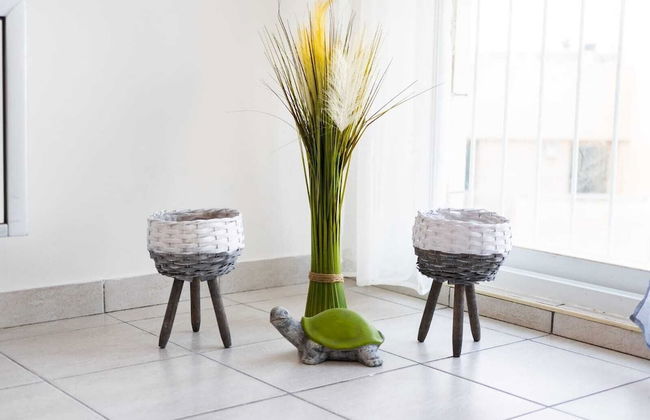 Art Apartment Near Mamila best Location 1 - Photo 11