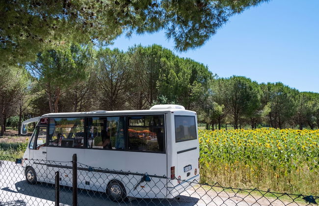 Villaggio Mare Verde - Photo 50