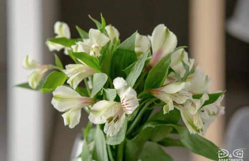 Czilu Czilu D&D Apartments - Foto 65