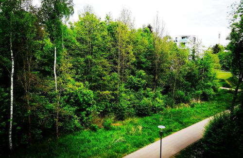 Ferienwohnung Villingen - Foto 12