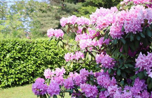 Il Girasole - Foto 27