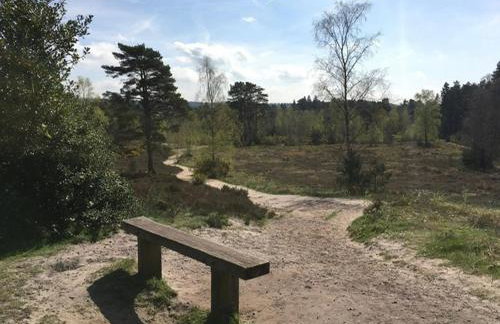 Cozy Cottage Retreat in Surrey Hills - Foto 8