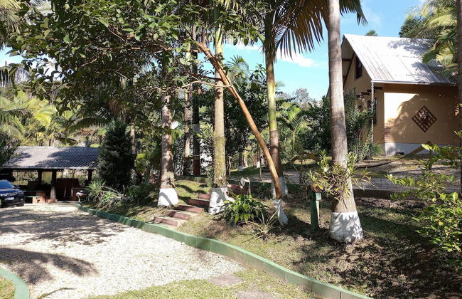 Sitio Libardo - Nova Trento - SC - Foto 36