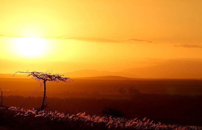 Kwetu Guest Farm - Photo 80