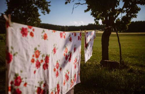 Stixenhof - Ferienwohnung Heidi Nehmeier - Foto 19