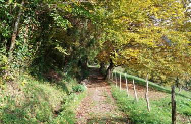 Gîte du ruisseau - Foto 32