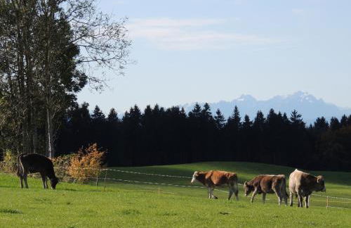 Ferienwohnung Butscher - Foto 39