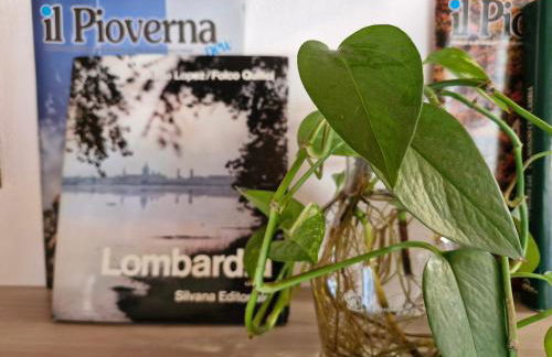 Balcony Lake View Apartment - Foto 34