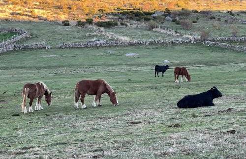 El Nido de Gredos cuco apartamento con chimenea - Foto 22