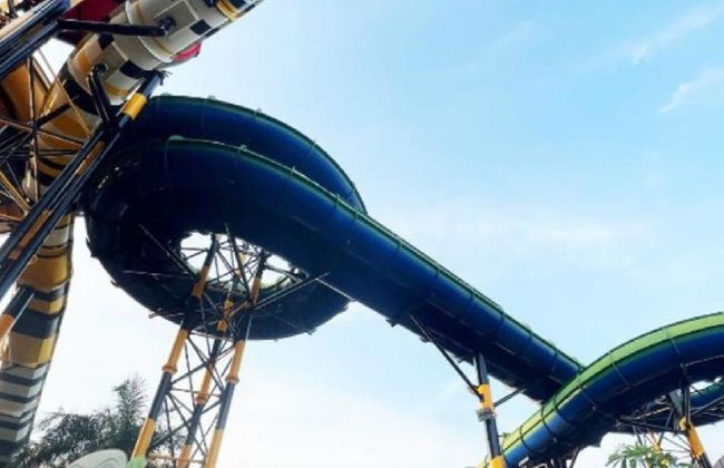 Erkunden Sie Columbia Pictures Aquaverse mit City Sightseeing - Ticket - Foto 5