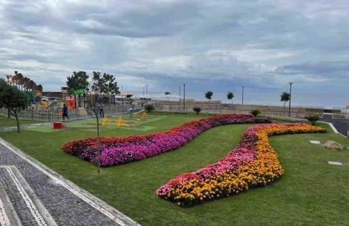 The Spot - ilha de São Miguel (Povoação) Açores - Photo 60