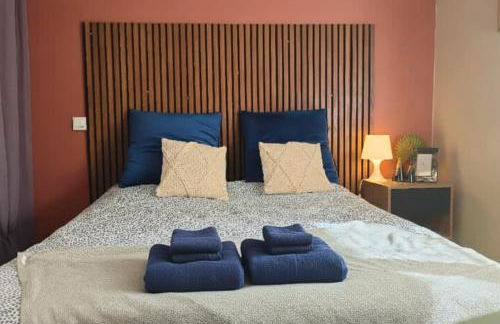 Nid confort proche du canal du midi 2 terrasses Labège - Foto 22