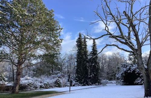 Über den Dächern von Koblenz - Aussichts-Wohnung Naturpark Rheinblick, ruhig, zentrumsnah, Sport-Pool - Foto 21