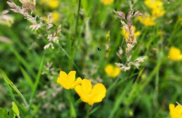 Ranczo na Kaszubach - Foto 35