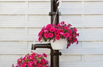 Baltiq Spot Rewa - Foto 50