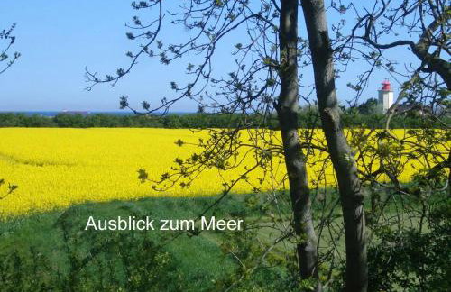 Ferienhaus Westermarkelsdorf - Photo 15