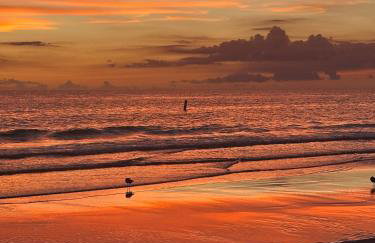 Beach Retreat in Redington Shores - Foto 25