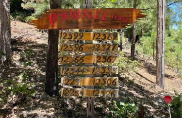 Lake retreat Nevada city cabin - Photo 27