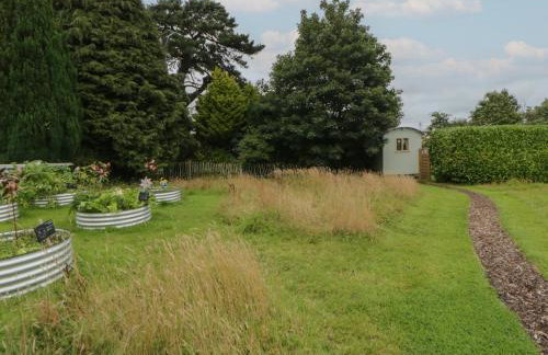 Flora's Hut - Foto 12