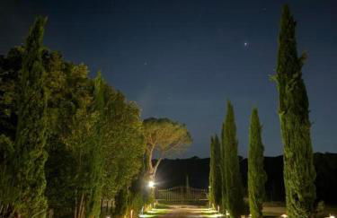 Más Figueres - Foto 55