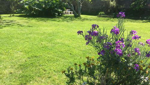 Gîtes Le Bout du Monde - Foto 2, Garden