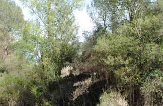 Casa Rural Ruiz Hernando - Foto 45