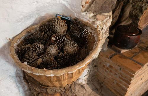 Masia Cal Fuster - Foto 50