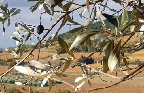 gîte du Domaine Jaume - Foto 28