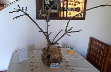 Villa Anesis-Παραθαλάσσια βίλα - Foto 46