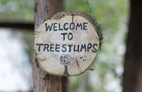 3 Bed in Dinas oc-lazyno - Photo 22