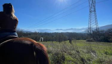 Relax, mare, natura e cavalli Giuliano di Roma - Foto 3
