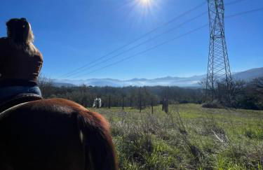 Relax, mare, natura e cavalli Giuliano di Roma - Foto 3