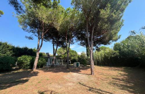 Appartamenti Sterlizia 2 - Foto 32