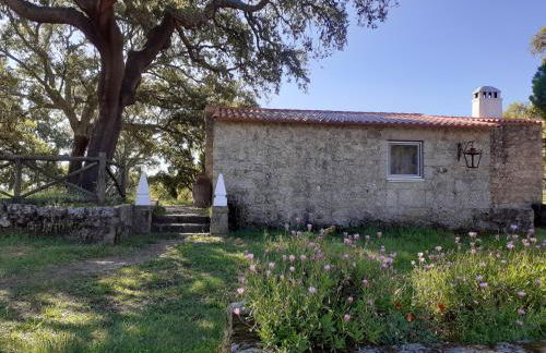 Casa da Vinha - Foto 35