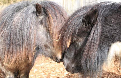 Charming and luxury retreats on our farm - Foto 11