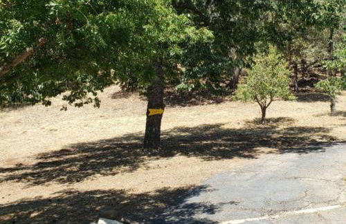 The Couple's Cabin in Wynola 2 NIGHT MINIMUM - Foto 57