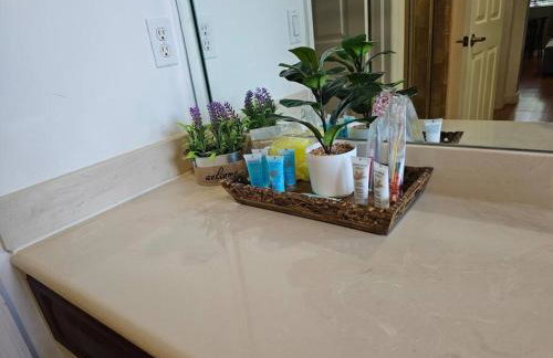 D&N Property Rental - Foto 6