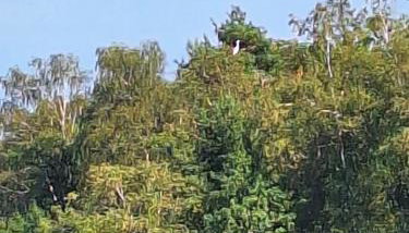 Kaszuby To Tu - Foto 3