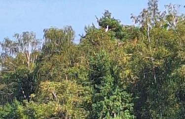 Kaszuby To Tu - Foto 3