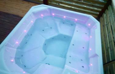 Pod Srebrzystym Świerkiem - Jacuzzi - Foto 31