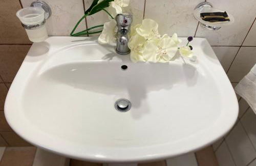 FORESTEVA Studios - Photo 6