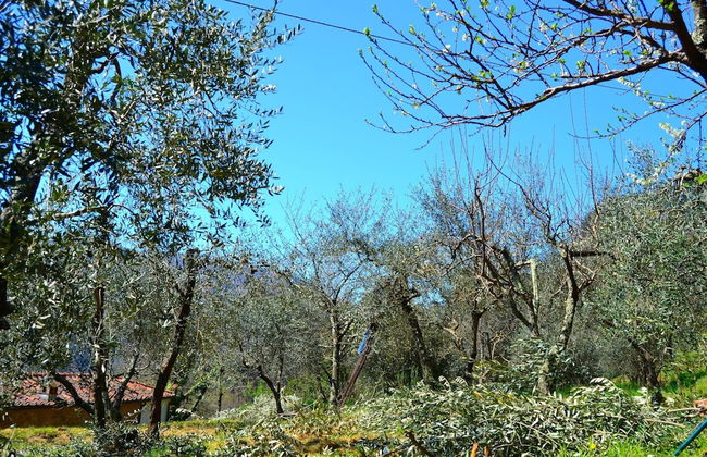 Belvilla by OYO Brama Sole - Foto 33