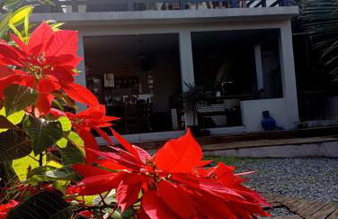 Recanto do Sossego - Foto 57