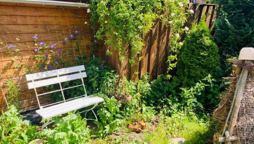 Ferienhaus am Wasser im Grünen - Foto 5