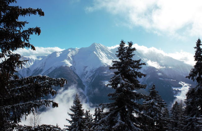 Bärgblüemli 2. OG Ost - Foto 11