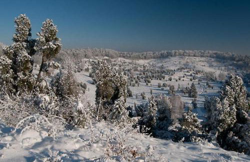 Ferienwohnung Heide View - Foto 54