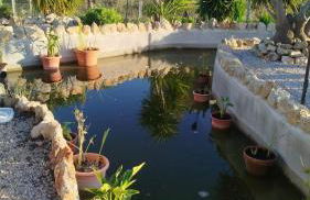 Casa Oasis - Paraiso na Terra - Foto 45