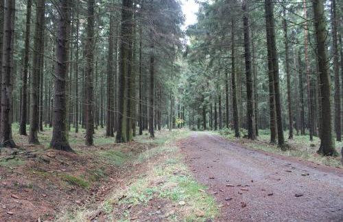 ZumSeehörnchen Haus Schmetterling - Foto 18