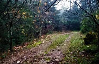 Dandy Villas Agoriani - Chalet Erato - Fireplace - Foto 27