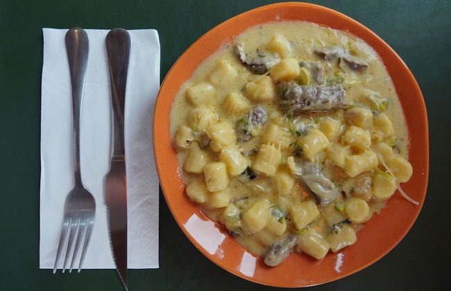 Pouso do Corvo - Grão-Pará - SC - Photo 43